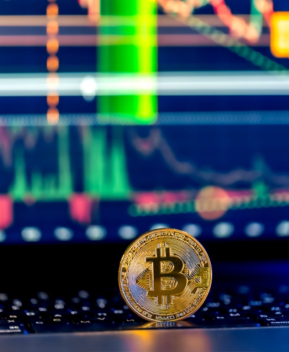 Branzeldorfix Trading Informationen